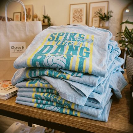 Spike the Dang Ball Volleyball T-Shirt | Volleyball Team Spirit Graphic Tee