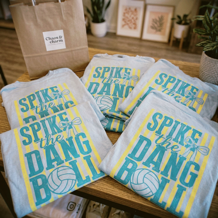 Spike the Dang Ball Volleyball T-Shirt | Volleyball Team Spirit Graphic Tee