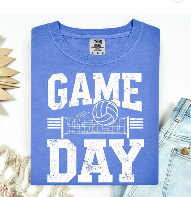 Volleyball Game Day